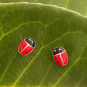 Può includere: Due orecchini a forma di coccinella rossi e neri su uno sfondo di foglia verde.