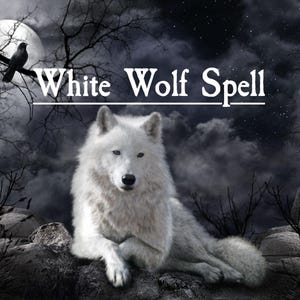 May include: A digital illustration featuring a white wolf resting on a rocky surface under a night sky. The image includes the text "White Wolf Spell" and a full moon, with a raven perched on a tree branch.