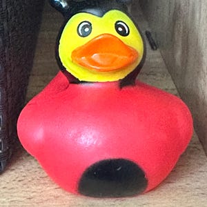 Ladybug, rubber duck office gift, collector duck, dashboard duck farm, Jeep duck Themed rubber duck ducks yellow