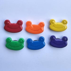 Set of 6 handmade rainbow frog fridge magnets made from polymer clay for kitchen decor