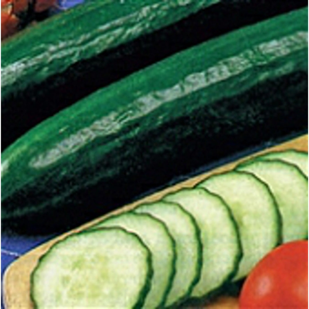 Sweet Slice Cucumbers Seeds Etsy