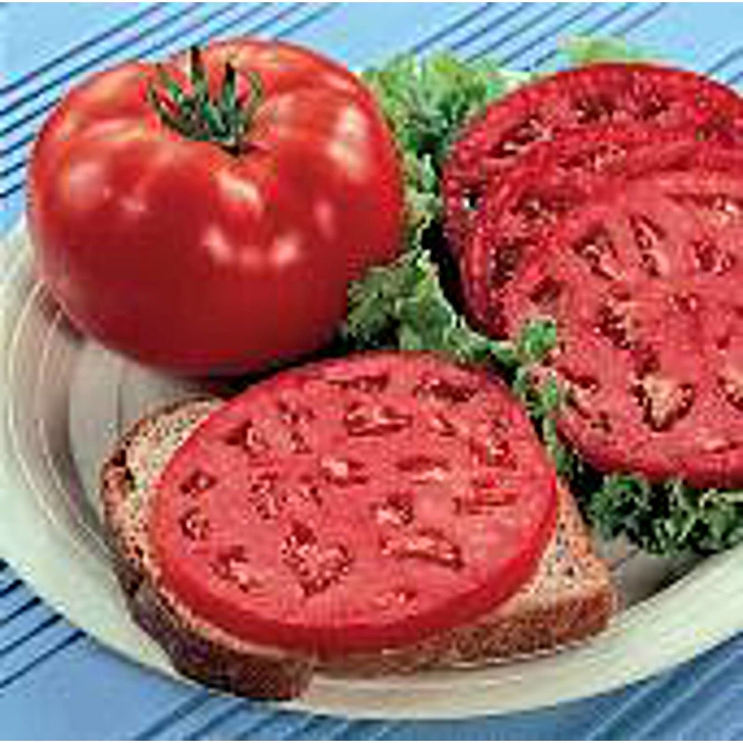 Park's Whopper Improved Tomato Seeds Etsy