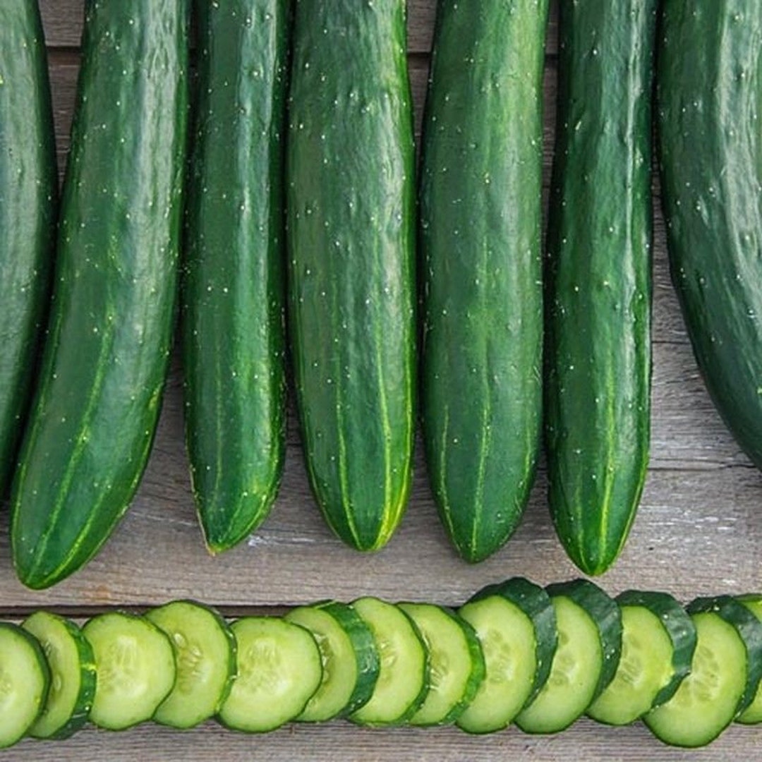 Sweet Success Hybrid Cucumber Seeds Etsy