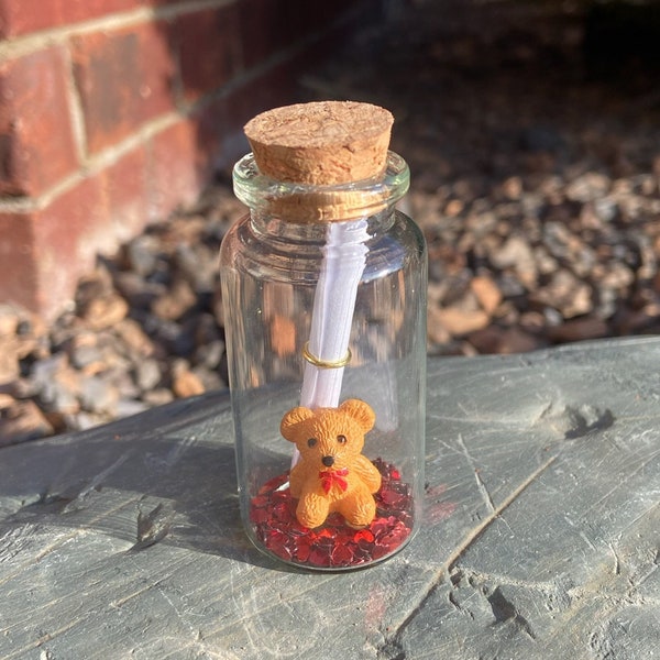 Teddy Bear Message in a Bottle, Anniversary/Valentines/Birthday Gift for Her/Him