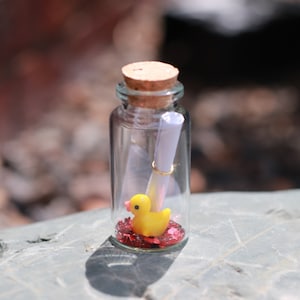 Duck Message in a Bottle, Anniversary/Valentines/Birthday Gift for Her/Him