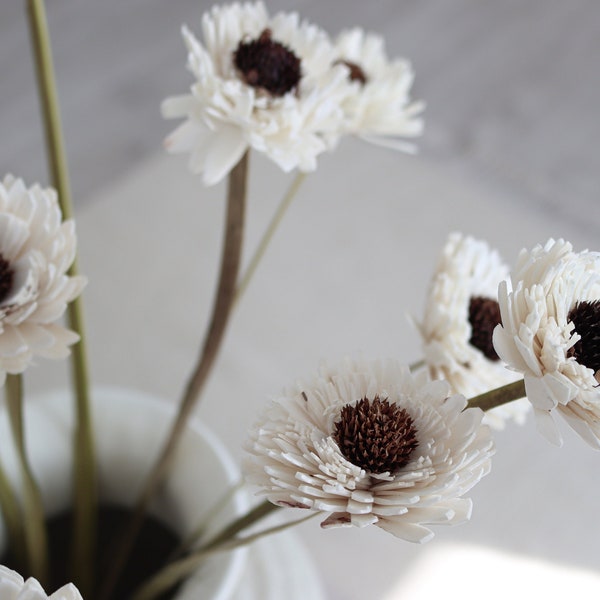 Dried Flower Stems/ Sola Wood Flowers/ Dried Flower Bunch/ Neutral Dried Flowers