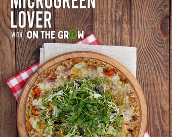 eBook / Vol. 2 - Recipes for the everyday microgreen lover / Sprout Book / Microgreens / digital download