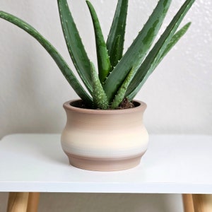 COMO -  Minimalist Curved Planter for Indoor Plants, Cactus, Succulents – With / without drain holes  - Perfect gift for plant lovers