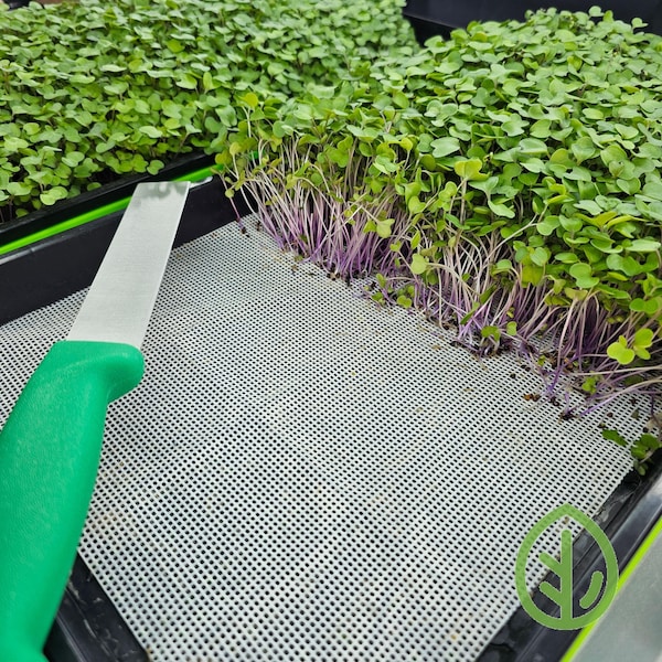 Microgreen Mat for Growing Etsy