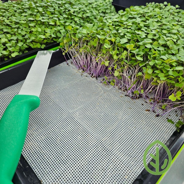 Silicone Reusable Microgreen Grow Medium / Microgreen Grow Mat / Reusable Grow Mat / Hydroponics / Silicone /  Indoor Growing / 10x20 Inches