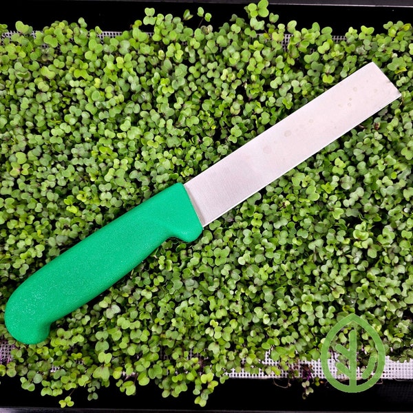 OTG 6 inch Produce Knife / Microgreen Harvesting / Microgreens / Harvesting Tool / Harvesting Knife / Green Handle