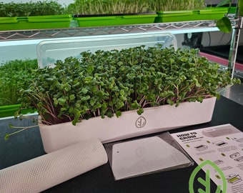 7x14 Microgreen Tray Kit / Large Grow Tray / Garden Growing Trays / Wheatgrass Sprouting Tray /Microgreen Seed Tray / Grow Kit / On The Grow