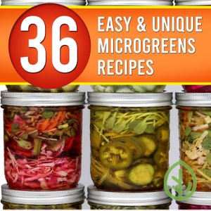 eBook / 36 Easy & Unique Microgreen Recipes by On The Grow / Sprout Book / Microgreens / digital download