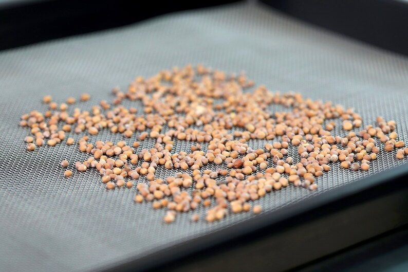 Reusable Microgreen Grow Medium / Microgreen Grow Mat / Etsy Australia