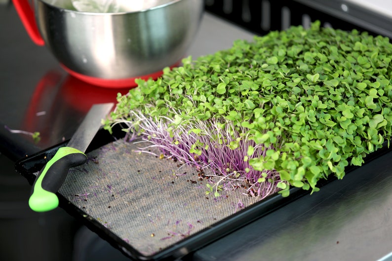 Reusable Microgreen Grow Medium / Microgreen Grow Mat / Etsy Australia