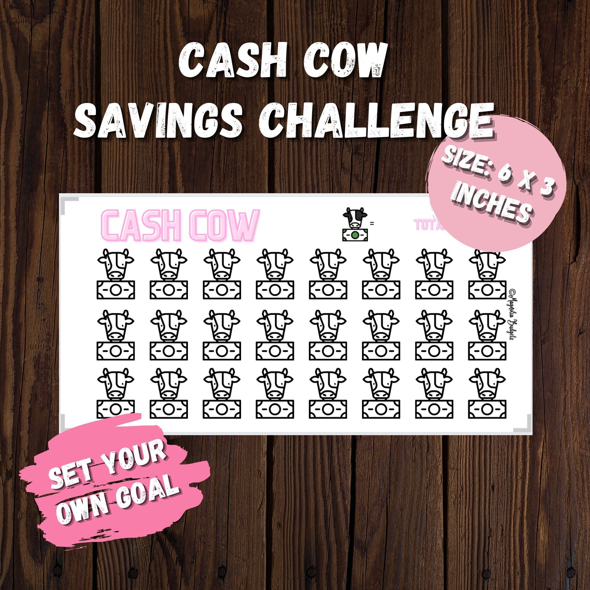 Cash Savings Challenge Mini Savings Challenge Savings -