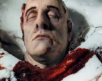 May include: A close-up of a severed head lying in the snow. The head is covered in blood and has a deep cut across the forehead. The snow is stained red with blood.