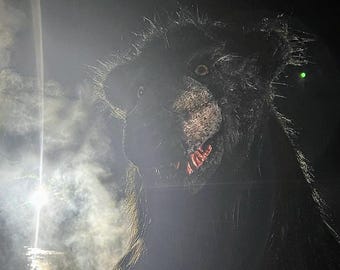 Full Size Bear Suit