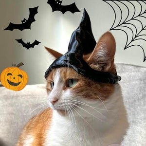 May include: A ginger and white cat wearing a black witch's hat, with Halloween decorations. The image features a carved pumpkin, bats, a spider's web, and a cauldron with purple liquid. The cat is the main subject of this Halloween-themed image.