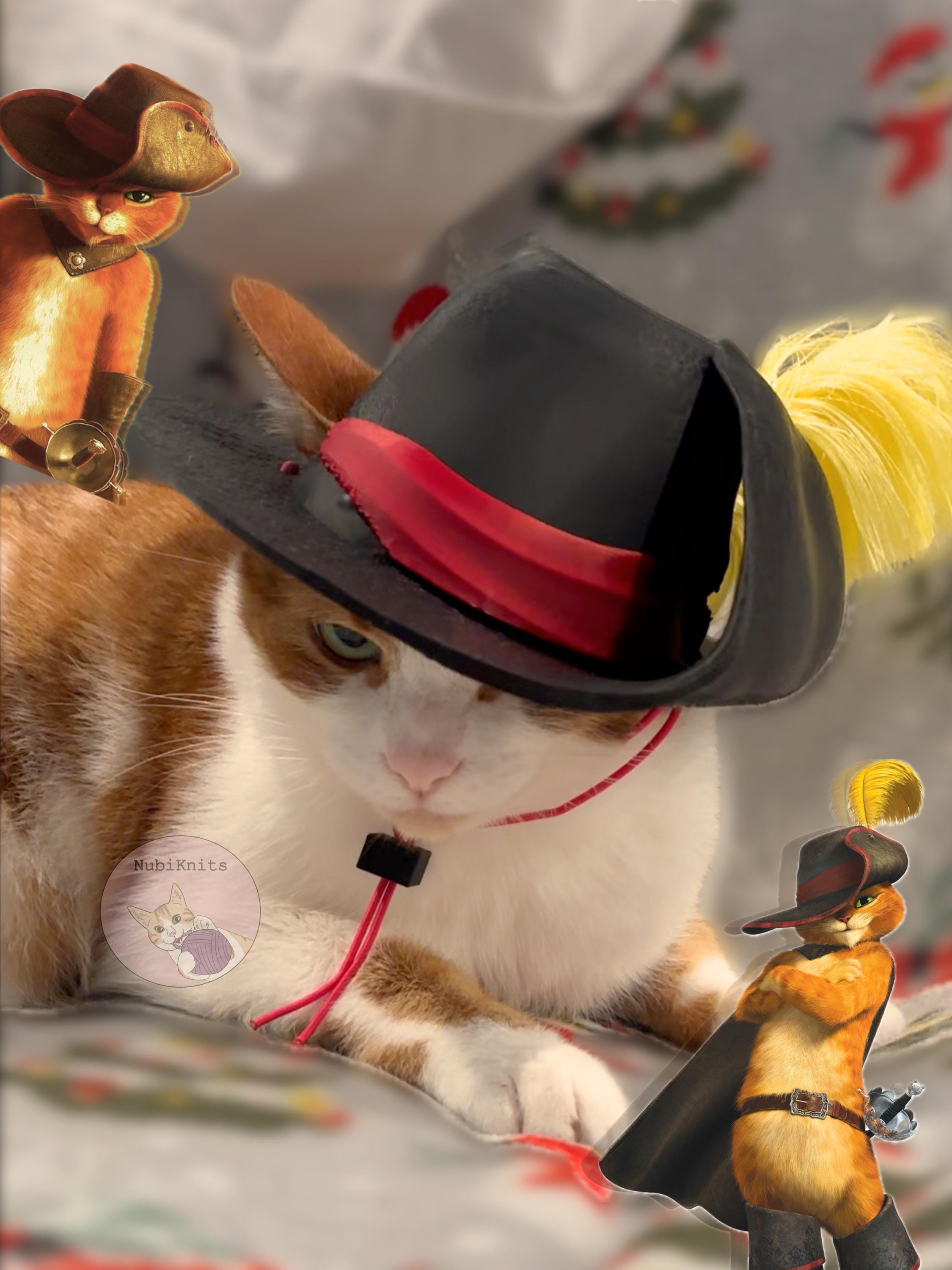 Il gatto con gli stivali Italia