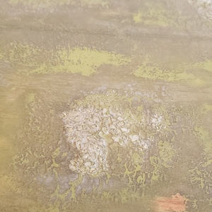 May include: A close-up of a textured, light brown surface with a pattern of white and green. The surface has a mottled appearance, with areas of lighter and darker brown.