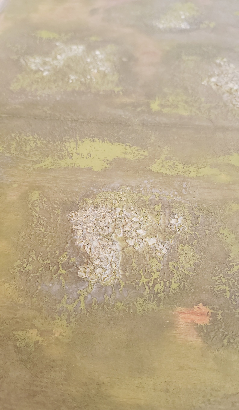 May include: A close-up of a textured, light brown surface with a pattern of white and green. The surface has a mottled appearance, with areas of lighter and darker brown.