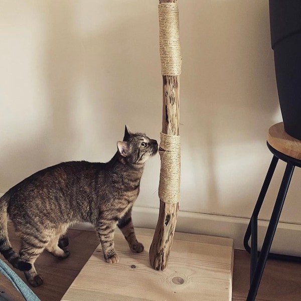 Griffoir en bois flotté - griffoir pour chats