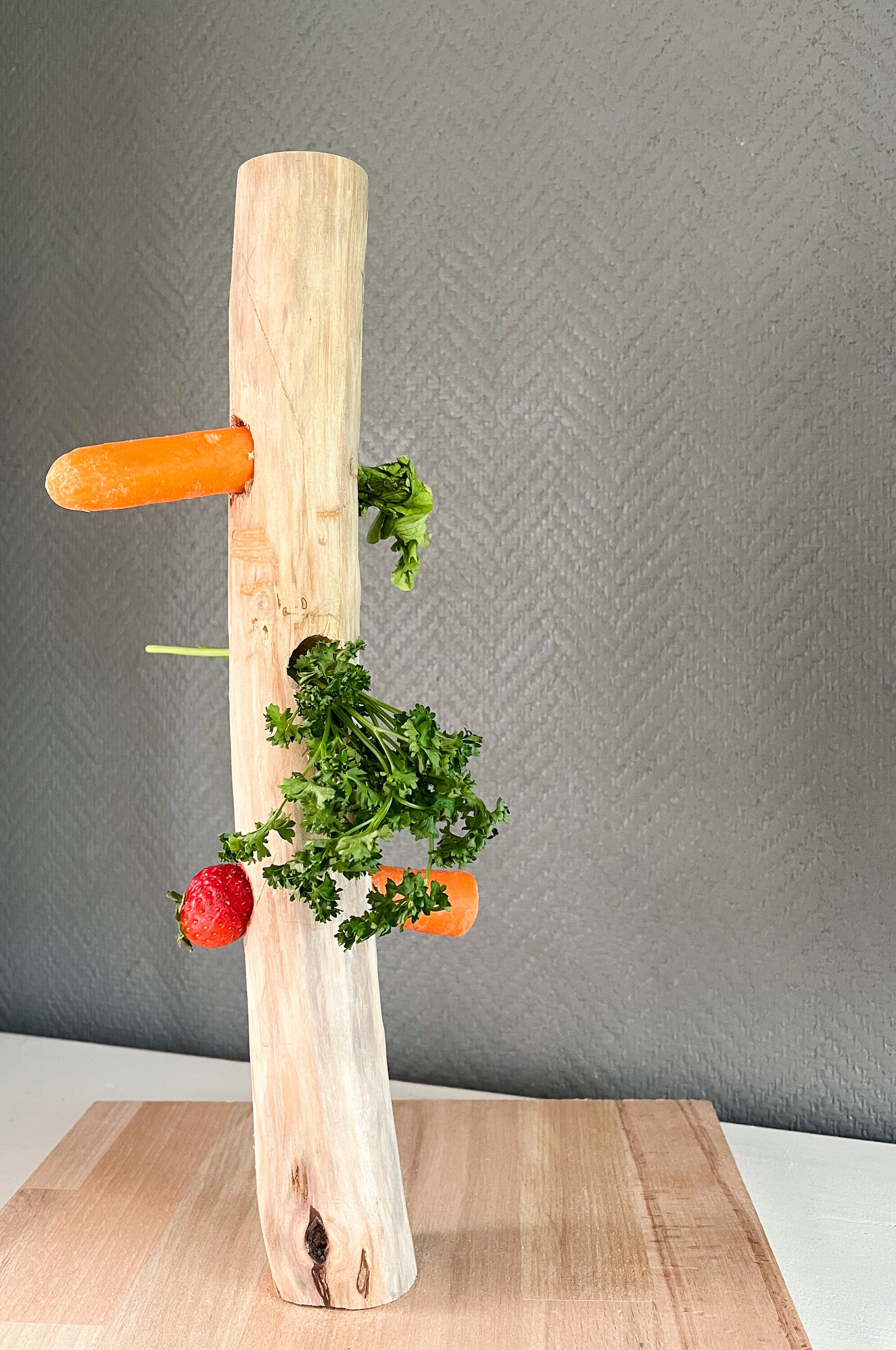 Treat Tree for Rabbits / Nac - Etsy