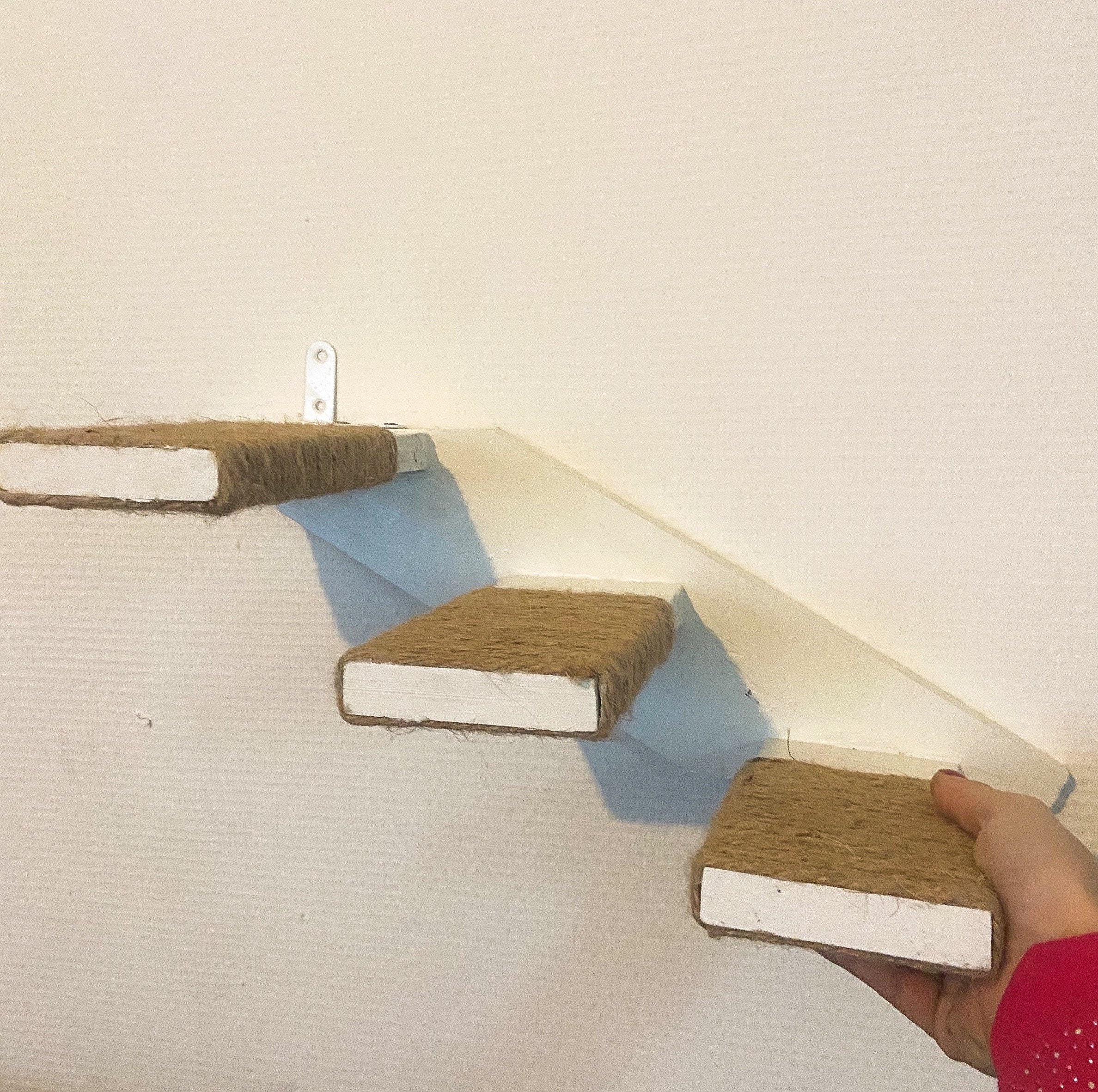 Escalier Mural Pour Chats