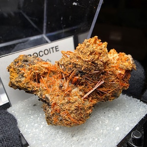 Könnte beinhalten: Ein lebendiges orangefarbenes Krokoit-Mineralexemplar, präsentiert in einem transparenten Gehäuse. Das Mineral weist nadelförmige Kristalle und eine raue, strukturierte Basis auf. Das Etikett lautet "Crocoit".
