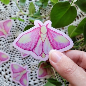 Rosy Maple Moth Sticker, Moth Sticker, Cute Moth Sticker, Fairycore Sticker, Cottagecore Sticker, Vinyl Sticker