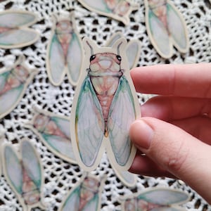May include: A sticker featuring a detailed illustration of a cicada with translucent wings. The cicada is depicted in shades of green, white, and pink, with a delicate, watercolor-like style.