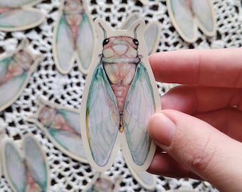 Watercolor Cicada Vinyl Sticker, Cottagecore Bug Decal
