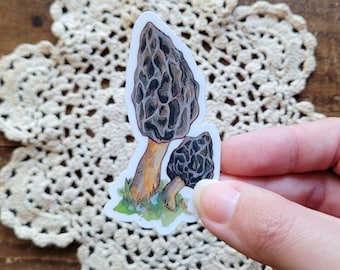 May include: A sticker featuring a watercolor illustration of two black morel mushrooms. The mushrooms are depicted with a detailed, textured appearance, and the sticker has a white background.