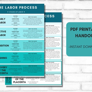 Arbeidsproces - Fasen van de arbeid Hand-out | Afdrukbare PDF | Geboorteeducatie | Bevalling