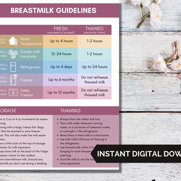 Breastmilk Storage Guidelines | Printable Handout | Digital Download | Pumping | Breastfeeding