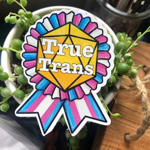 D20 Pride Award Sticker "True Trans" Vlag Vinyl Sticker