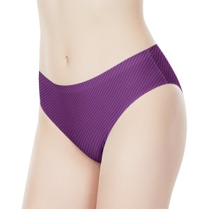 Bisexual Pride Women&#39;s Bikini Briefs