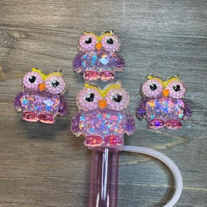 May include: Four purple and pink glitter owl charms with yellow beaks and eyes. The owls are attached to a purple and pink bubble wand.