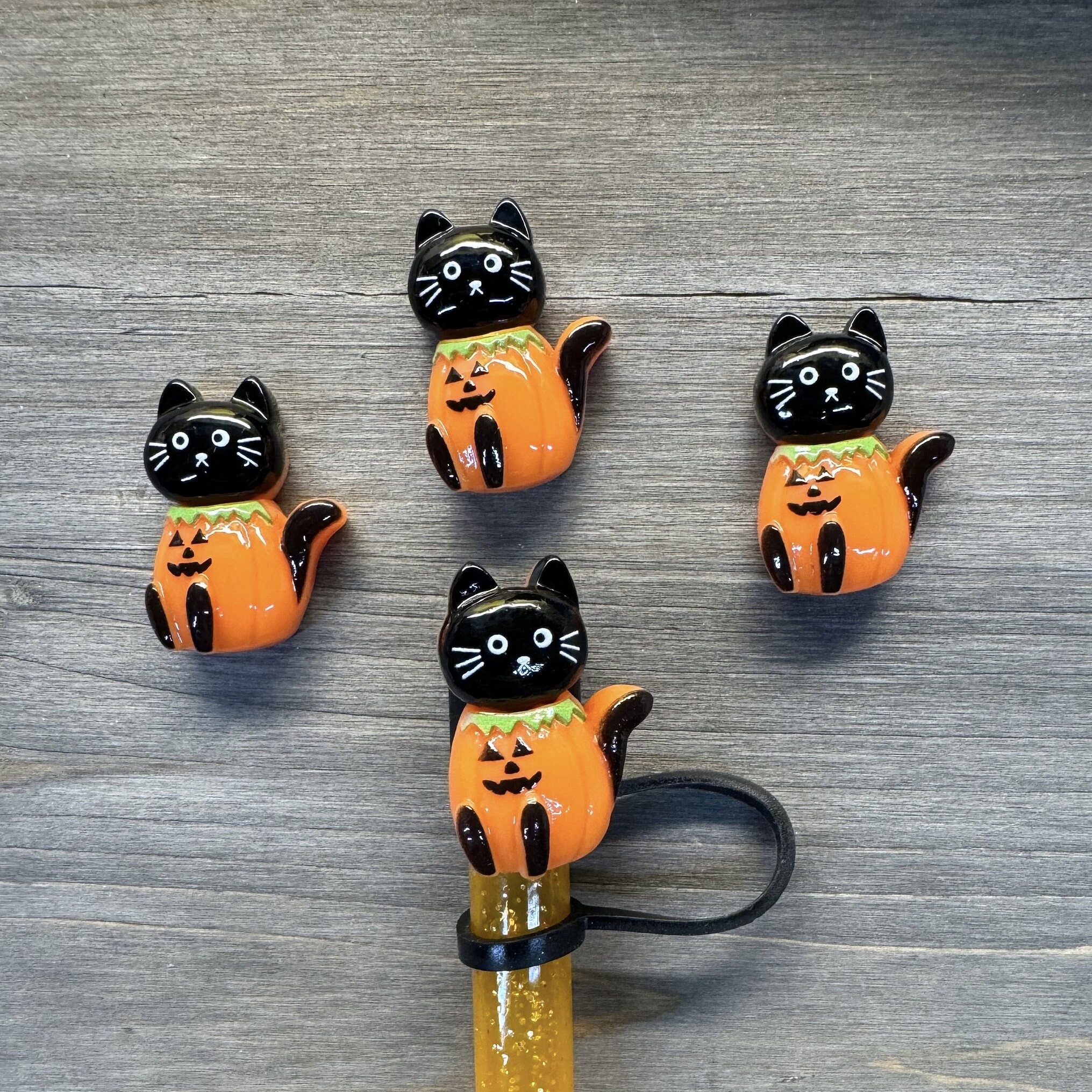 Halloween Black Cat in Pumpkin Straw Cap