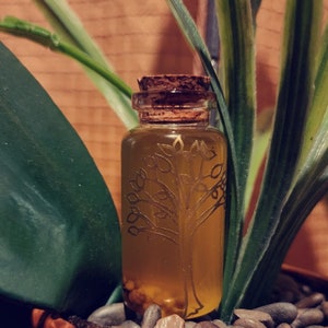 Abundance of Life Anointed oil