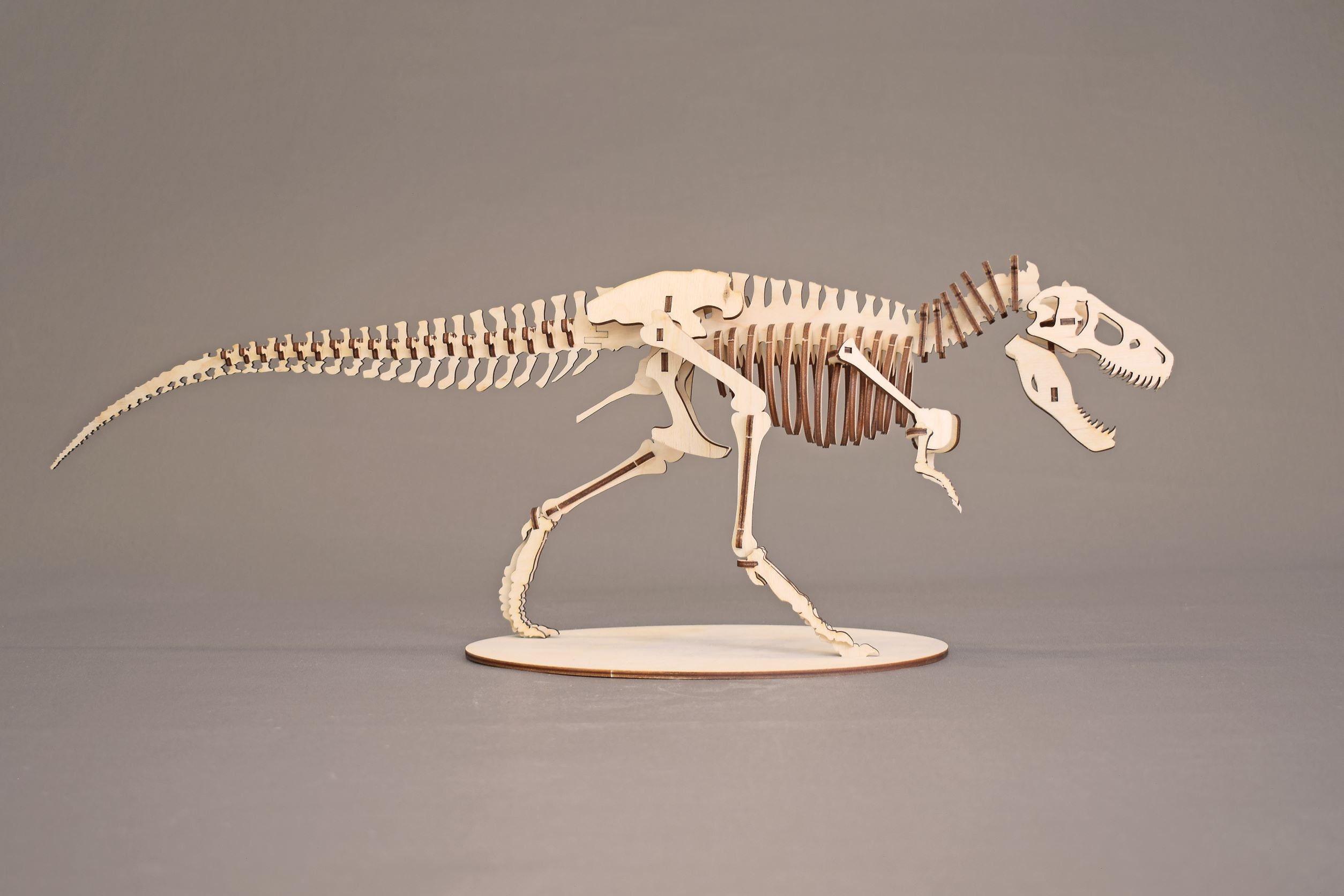 Dinosaure préhistorique 3D puzzles en bois découpés au laser garniture bas  garço