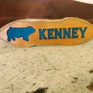 Custom Livestock Brush