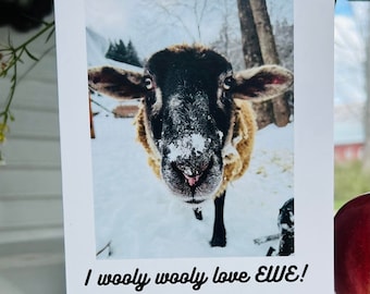 Sheep Card Valentine - EWE Cards - "I wooly wooly love EWE!"-  Love Note - Greeting Card - Blank inside for personal message - Vermont Sheep