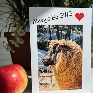 Schapenkaart - EWE-kaart - "Altijd wees EWE" - Aanmoediging - Groet/notitiekaart - Lege binnenkant voor persoonlijke boodschap - Goed wensen van Vermont Sheep