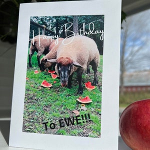 Cartes de mouton - Cartes EWE - « Joyeux anniversaire à EWE ! » -Carte de vœux d'anniversaire, vœux du mouton du Vermont, intérieur vierge pour un message personnel.