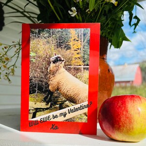 Schapen Valentijnskaart - EWE-kaarten - "Zal EWE mijn Valentijn zijn?" -Valentijn groet/notitiekaart - blanco binnenkant voor persoonlijke boodschap