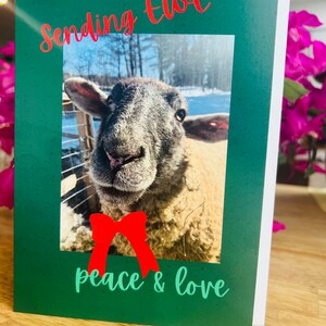 Sheep Cards - EWE Cards - "Sending EWE Peace & Love" - Weihnachten - Innen blanko für persönliche Nachricht - Festlich - Vermont Sheep