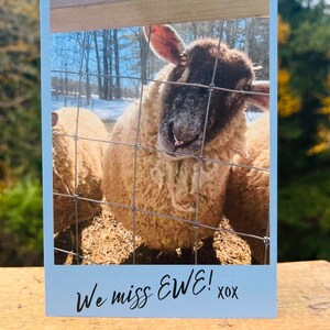 羊カード - EWE カード -「EWE がいなくて寂しいです!」 - 愛情のこもった挨拶/メモカード、内側は空白で個人的なメッセージを書くことができます - バーモント州の羊からのお祝い