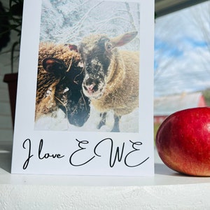 Schafskarte Valentine - EWE Cards - "I Love EWE" - Love Note/ Valentine Greeting Card - Innenseite leer für persönliche Nachricht